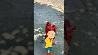 Encontramos a caillou y mira lo que pasó😱😱😱viralvideoシ [upl. by Ettesoj]