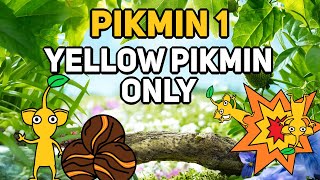 Can You Beat PIKMIN 1 With Only Yellow Pikmin [upl. by Rayshell]