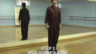 Learn Tai Chi Online with Jet Lis Online Academy  Lesson 9 [upl. by Marx]