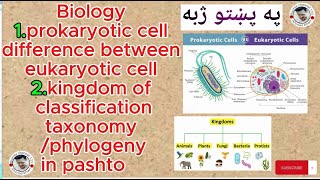 prokaryutic difference between eukaryutic cell  five kingdom classification living life in pashto [upl. by Aramoiz]