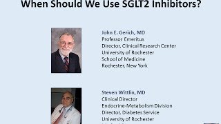 When Should We Use SGLT2 Inhibitors [upl. by Akenehs]