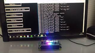 Raspberry Pi Zero W with ReSpeaker 2Mics Hat running Google Assistant amp Alexa simultaneouslyVer2 [upl. by Paley]