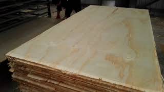 Chinese triplay Pine plywood to Mexico and USA [upl. by Rubinstein]