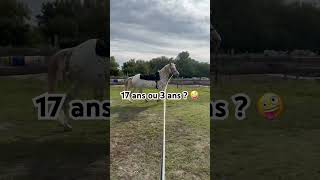 A se poser des questions des fois🤣cheval horse blindhorse equestrian animals fail equitation [upl. by Ahsuatan]