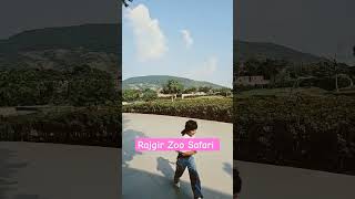 ZooSafari Rajgir Beautiful Place In Bihar [upl. by Rodman]