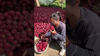 Viral girl trending apple fruitfruitcuttingThakornaynafrood Part 100 [upl. by Clancy]