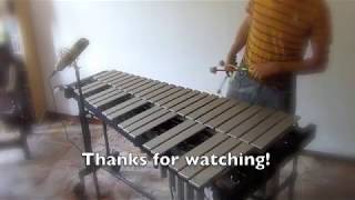 Vibraphone Exercises  Ascending amp Descending arpeggios LRLRRLRL [upl. by Hnil]