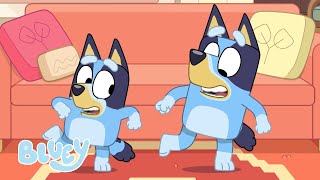 Saisons 1 2 et 3 Full Episode Comp  Bluey Français Chaîne Officielle [upl. by Anirbys]