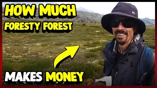 How Much Foresty Forest Makes Money On YouTube 2023 [upl. by Ziwot]