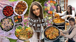 what i eat in a week at my Korean grandma’s house in Busan 🌸 authentic Korean food amp cherry blossoms [upl. by Suckow]