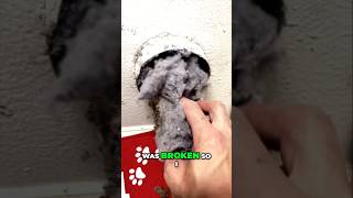 Unclogging a Dryer Vent Restoring Drying Power Fast diy [upl. by Donica276]