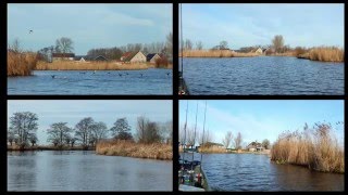 Le brochet en canaux et polders hollandais [upl. by Zavras]