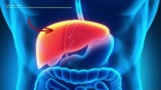 Liver Function Tests Explained  Results Explained eg ALT AST Etc [upl. by Schreib]