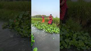 Two Village Lady Hook Fishing In Muddy Water fishingtechniques fishingmethods fishingvideo [upl. by Joashus413]