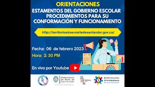 Estamentos del gobierno escolar procedimientos para su conformación y funcionamiento [upl. by Eneloj]