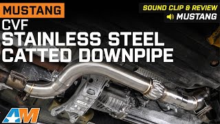 20152023 Mustang EcoBoost CVF 3Inch Stainless Steel Catted Downpipe Review amp Sound Clip [upl. by Barry]