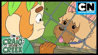 Craig Goes On The Search For A Puppy  Season 1  Craig Of The Creek  Cartoon Network [upl. by Goldy685]