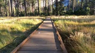 Stoneman Boardwalk at Yosemite NP  Full Walk  4K [upl. by Rockwood]