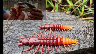 Rigging and Fishing the Nikko Hellgrammite [upl. by Gustafsson685]