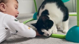 Baby adorably tests the patience of family cat with some whiskergrabbing antics  WooGlobe [upl. by Lita476]