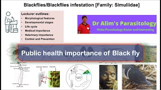 Medical importance of Black flyPublic health importance of Black fly [upl. by Norma934]