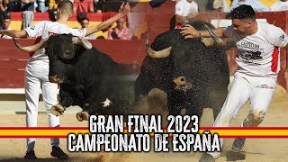 🇪🇸🏆 GRAN FINAL CAMPEONATO DE ESPAÑA RECORTADORES CON TOROS 2023 · CASTELLÓN [upl. by Kries974]