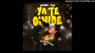 Natanael Cano  Ya Te Olvide [upl. by Leaper]