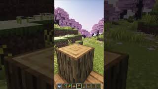 Minecraft Rabbit Trap minecraft shorts minecraftshorts [upl. by Lienaj]