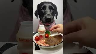 Healthy dog food dog eating donaldtrump shortvideo viralvideo usa america funny football [upl. by Donaugh684]