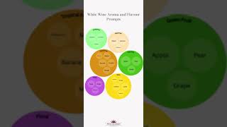 White Wine Aromas Visualised [upl. by Im]