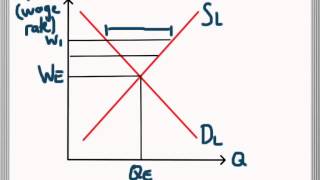 Labour Market Equilibrium  Excess Supply and Demand for Labour [upl. by Mcmillan]