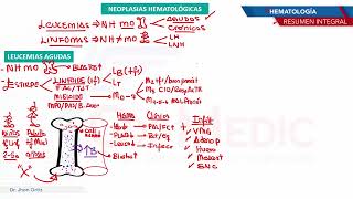 Hematología  Neoplasias leucemias aguda [upl. by Vaasta]