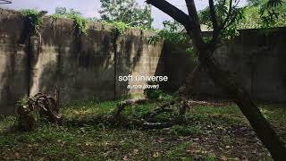 soft universe  aurora cover [upl. by Suisyola]