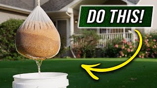 The FASTEST way to Grow Grass Seed [upl. by Solracesoj]