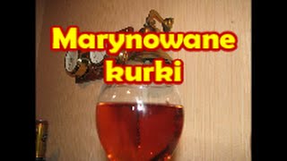 Marynowane kurki  Kwestia Smaku [upl. by Pournaras]