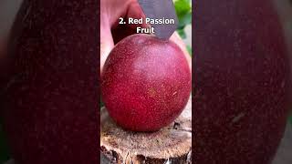 Top 5 Strangest Passion Fruit Varieties shorts [upl. by Elletse857]