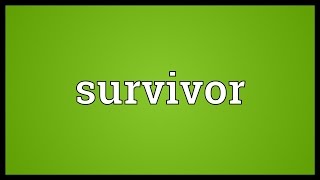 Survivor Meaning [upl. by Sungam680]