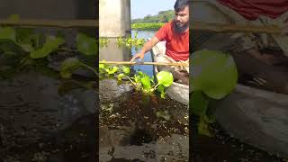 Top hook fishing video Amazing boat fishing trap Viral video shorts shortsvideo fish [upl. by Oflodor374]