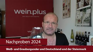 Nachproben 2024  Weiß und Grauburgunder und Deutschland und der Steiermark [upl. by Meil226]