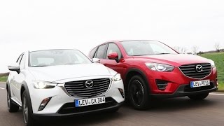 Mazda CX5 vs Mazda CX3 [upl. by Jarlath]