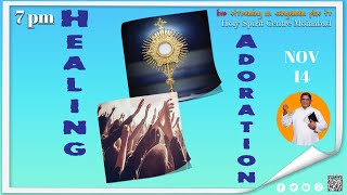 Healing Adoration  Rev Fr Christuraj SHS  14th Nov 24  7pm [upl. by Nac]