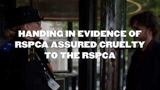 HANDING IN EVIDENCE OF RSPCA ASSURED CRUELTY TO THE RSPCA [upl. by Ahseenal589]