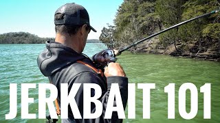 Jerkbait Tips That You NEED To Know [upl. by Adnavoj]