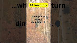 Insecurity [upl. by Nicol]