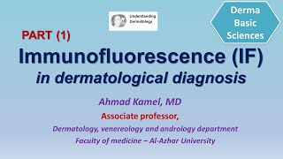 Immunofluorescence IF in dermatological diagnosis part 1 [upl. by Manella]