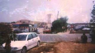 NOD RIBARROJA VALENCIA 1990mp4 [upl. by Iba749]