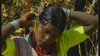 Baiga Tribe  A Documentary Movie [upl. by Hillie89]