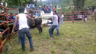 LA CIENEGA FIESTA DE SN MARCOS 2 MALINALTEPEC 2016 [upl. by Wagner233]