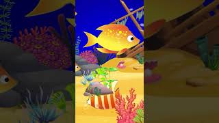 lullaby for babies to go to sleep fish animation Bedtime Lullaby For Sweet Dreams Shorts 297 [upl. by Aitak]