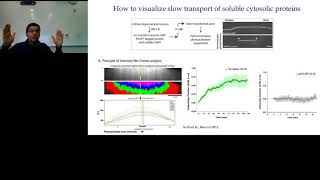 Decoding How Clathrin is Transported to Distal Synapses Along Axons [upl. by Keen]